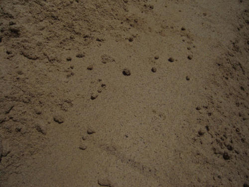Sand