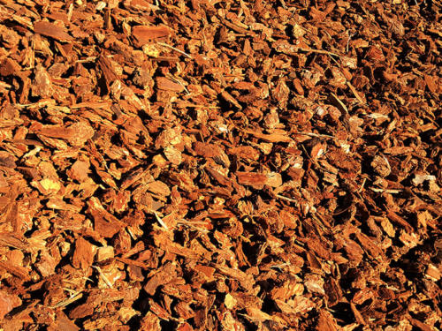 Bark and Wood Chips
