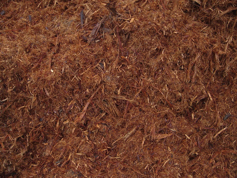 Shredded Redwood (AKA “GORILLA HAIR”) - Hastie's Capitol Sand and